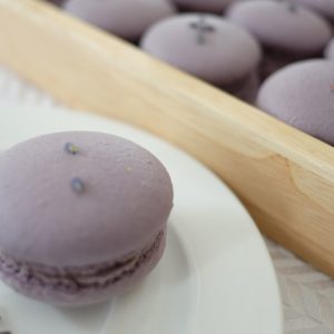 Черновик Медведь и Слон 9