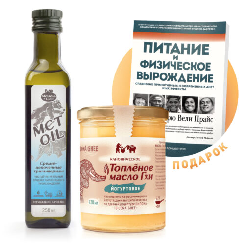 Познанье Медведь и Слон